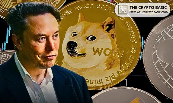 投资中的认知边界：为什么懂得放弃才是真智慧？