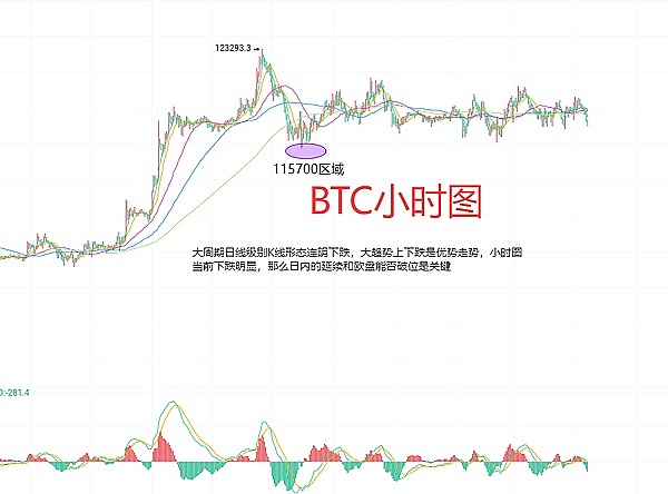 SHIB触底反弹？深度解析柴犬币的突围之路