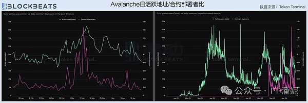 比特币强势领跑：2023年加密货币市场分化加剧