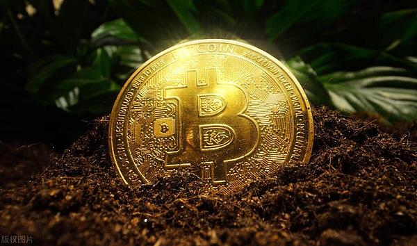 市场风向标：周悦盈带你看懂比特币与以太坊的微妙走势