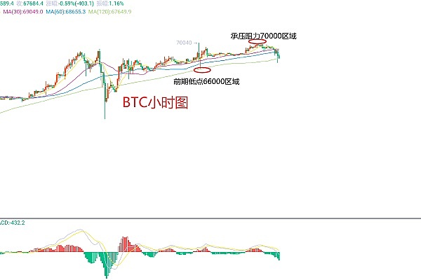 山寨币狂欢：这些潜力币种正引发市场热议