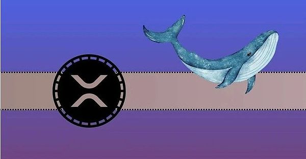 Uniswap收费风波：当创新遇上现实困境