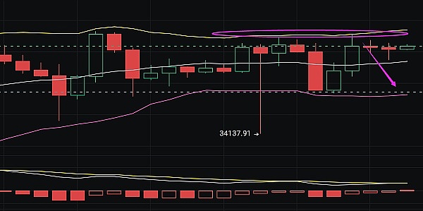 当Moonbeam社区代表究竟能带给你什么？