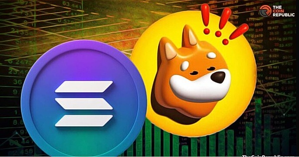市场暴跌后的冷静思考：机会还是风险？