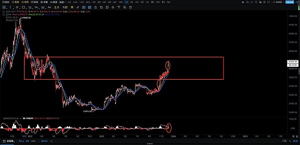 山寨币：数字金融世界的多元拼图，为何不可或缺？