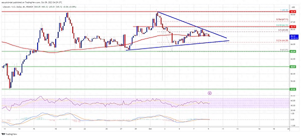 Bitmine股价坐上过山车：华尔街新宠背后的隐忧