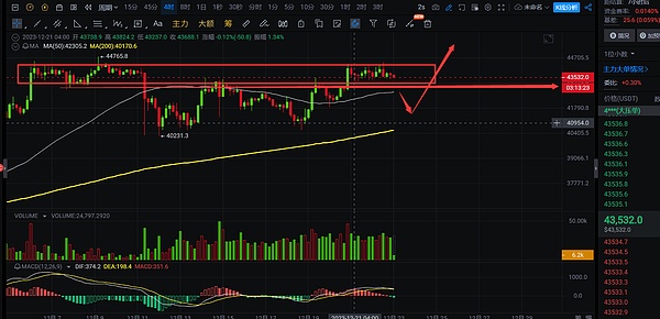 当区块链遇上毛小孩：CoinW在香港用爱心点亮中秋