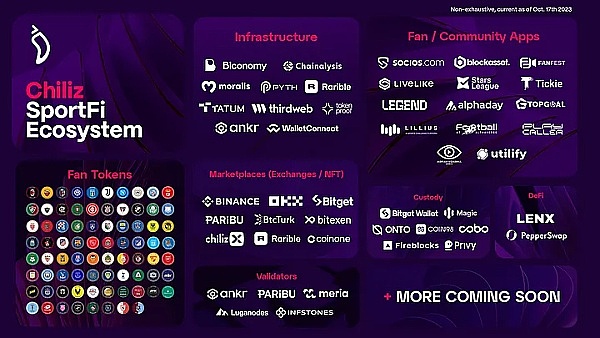 沙漠中的金融革命：CamelPayment如何重塑阿联酋经济版图