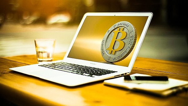 2025年南非交易博览会：一场金融界的非洲狂欢节